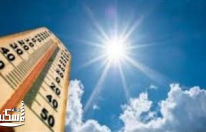 الأرصاد: طقس  اليوم دافئ شمالا حار على جنوب الصعيد والصغرى بالقاهرة 13 درجة