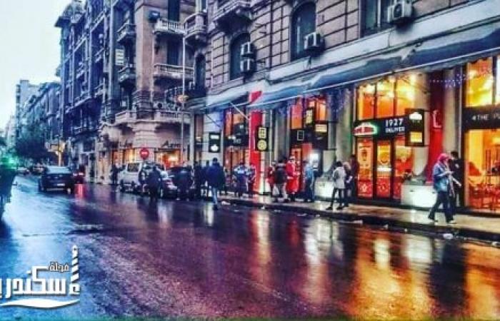 «رحلات مصر».. مبادرة سكندرية لتنشيط السياحة الداخلية