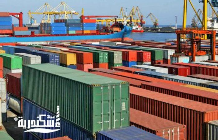 تعرف على أبرز المعلومات الخاصة بمنظومة ACI بميناء الإسكندرية