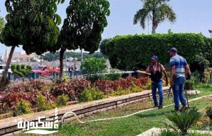الشريف......رفع المخلفات أول بأول وإظهار الإسكندرية بالشكل الذي يليق بها