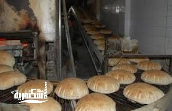 للحفاظ على الدعم المقدم للمواطنين....تموين الإسكندرية......تحرير 328 محضرًا