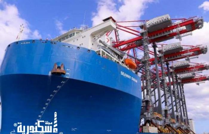 هيئة ميناء الإسكندرية تستمر في فتح بوغاز الميناء رغم سقوط الأمطار الخفيفة