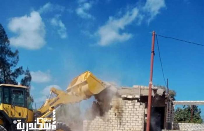 حملات مكبرة لإزالة التعديات على الأراضي الزراعية في الإسكندرية