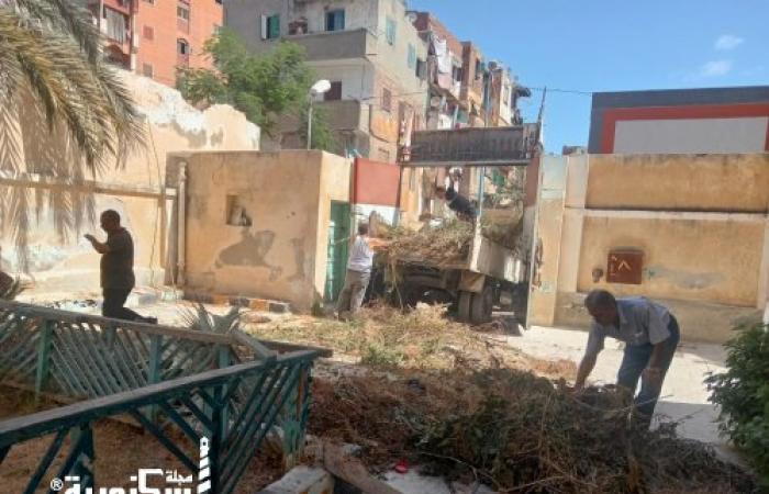 المهندسة نهى خليفة رئيس حي غرب تكلف بأعمال رفع كفاءة الإضاءة والنظافة وإزالة كافة الإشغالات بمحيط المدارس استعدادًا للعام الدراسي الجديد