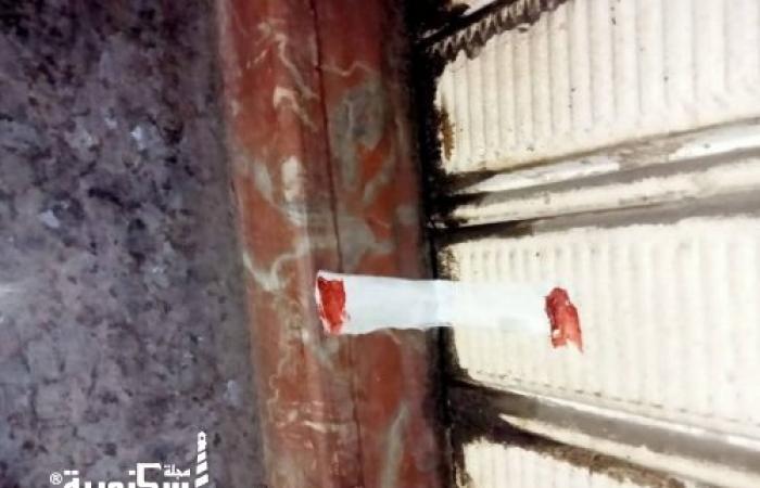 رئيس حي وسط تقود حملة مسائية لفرض الانضباط: غلق 3 منشآت ورفع 65 حالة إشغال بشوارع الإسكندرية