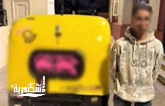 استجابة لفيديو متداول.. أمن الإسكندرية يضبط "سائق التوك توك" الهارب بالمنتزه