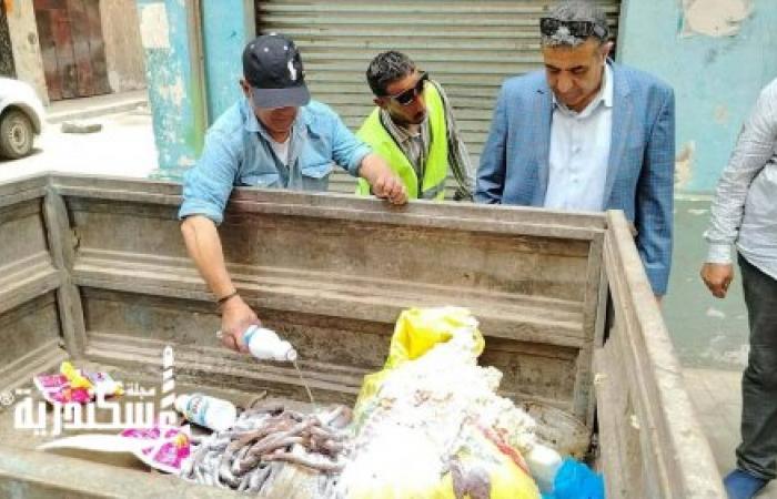رئيس حي الجمرك يقود حملة مكبرة للتفتيش على المحال وإزالة الاشغالات والمخالفات