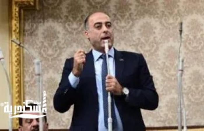 برلماني : الدولة المصرية تشهد طفرة تنموية كبيرة في مختلف القطاعات