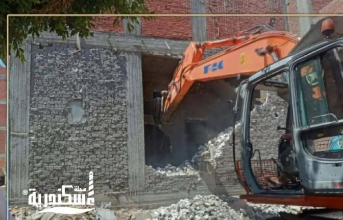 ضمن الموجة الـ29.. محافظة الإسكندرية تواصل إزالة العقارات المخالفة والتعديات على الأراضي الزراعية