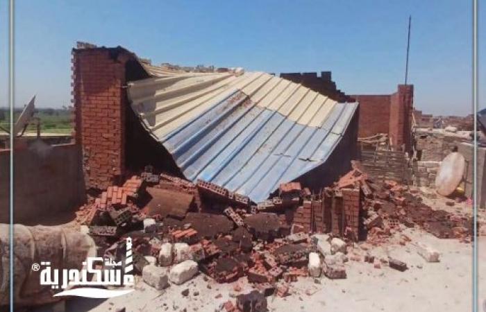 بتوجيهات المحافظ.. أحياء الإسكندرية تضرب بيد من حديد وتزيل تعديات ومخالفات بناء بمساحات شاسعة