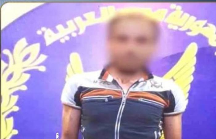 ضبط متهم بإتلاف سيارة بالإسكندرية: رشقها بحجارة عن طريق الخطأ أثناء استهداف كلب ضال