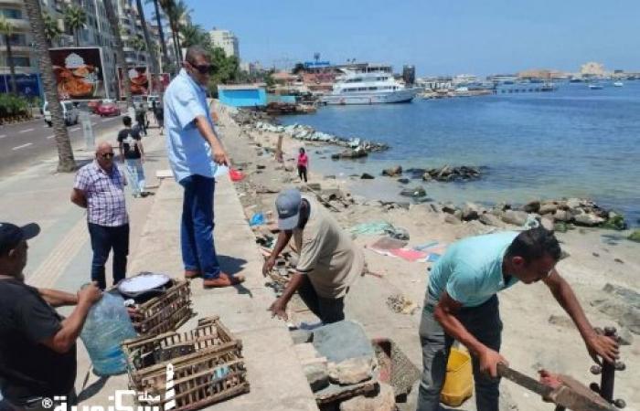 رئيس حي الجمرك يقود حملة صباحية لإزالة الإشغالات والمخالفات