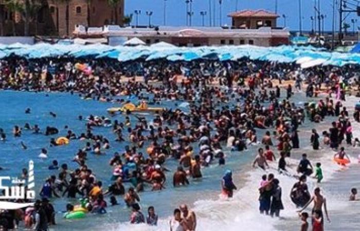 نسب إشغال شواطئ الإسكندرية: رايات خضراء وصفراء وحالة البحر مستقرة صباح اليوم