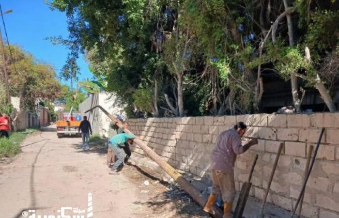 حي العجمي يواصل أعمال صيانة ورفع كفاءة شبكة الإنارة العامة وتأمين الأعمدة بنطاق الحي