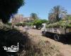 مدير عام أثار الإسكندرية....رفع كفاءة المناطق المحيطة بالمواقع الأثرية