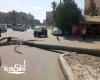 حي المنتزه أول.....سقوط نخلة على كابل كهربائي بشارع مصطفى كامل